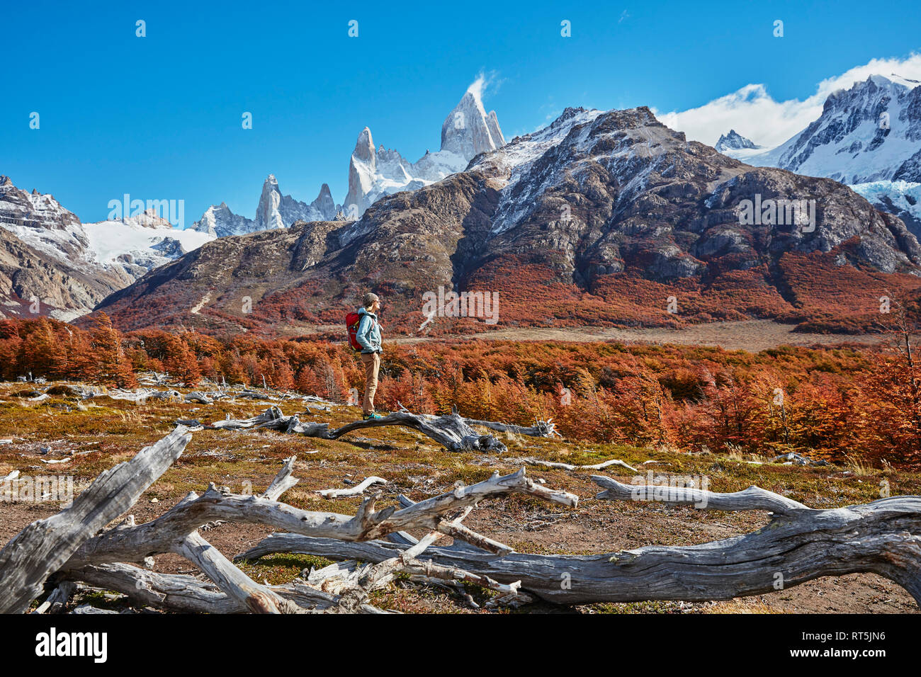 L'Argentine, Patagonie, El Chalten, femme en randonnée à Fitz Roy Banque D'Images