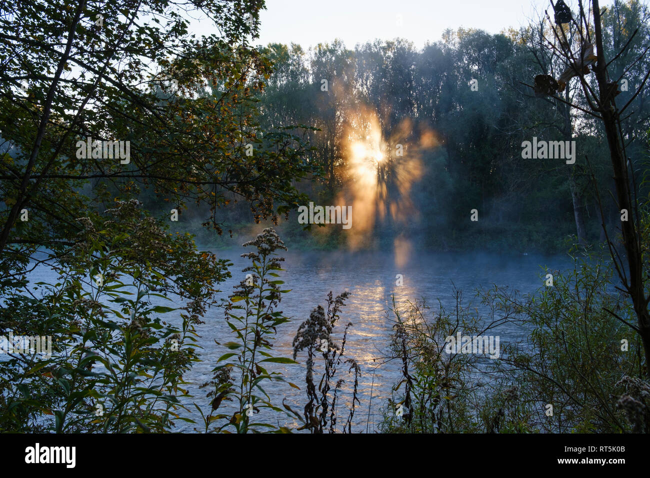 L'Allemagne, la Haute-Bavière, Oberhummel, réserve naturelle de la rivière Isar, Isarauen au lever du soleil Banque D'Images
