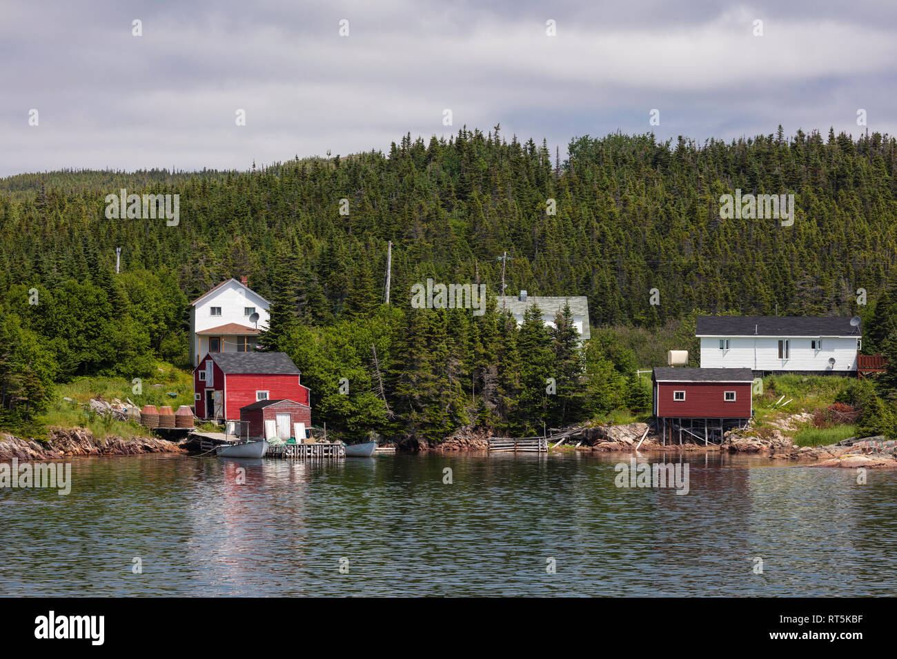 Stag Harbour, l'île Fogo, à Terre-Neuve et Labrador, Canada Banque D'Images