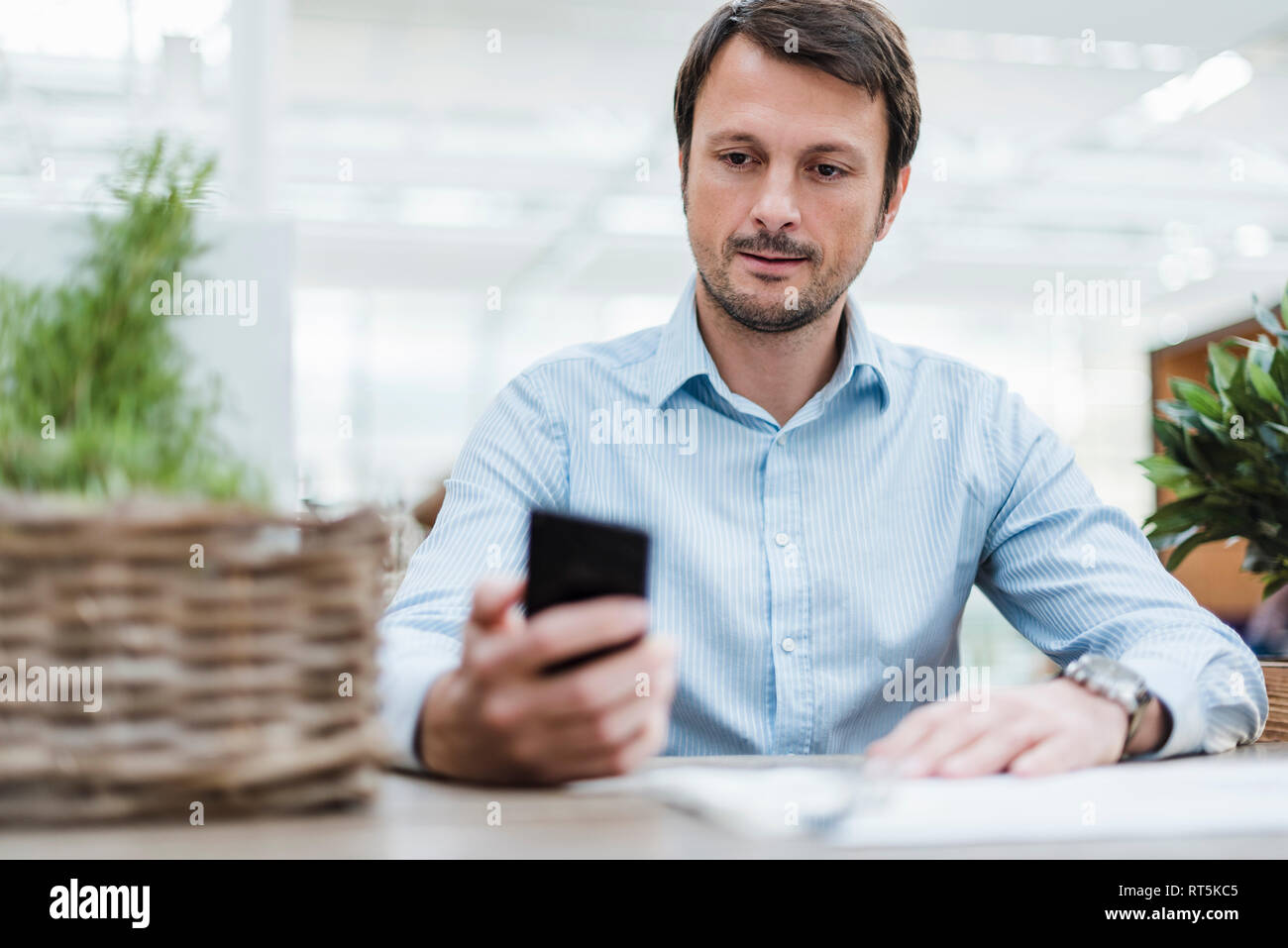 Businessman working in office, using smartphone Banque D'Images