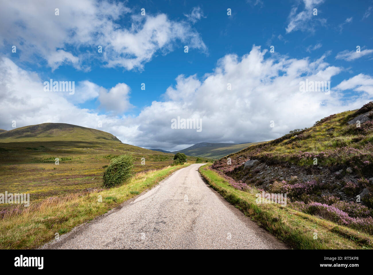 Royaume-uni, Ecosse, Sutherland, Highlands du Nord-Ouest, Lairg, Single track road Banque D'Images