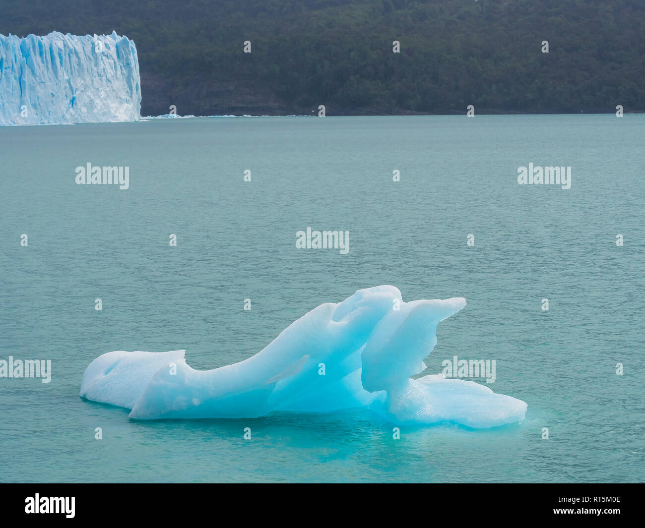 L'Argentine, Patagonie, El Calafate, le Glacier Perito Moreno Banque D'Images