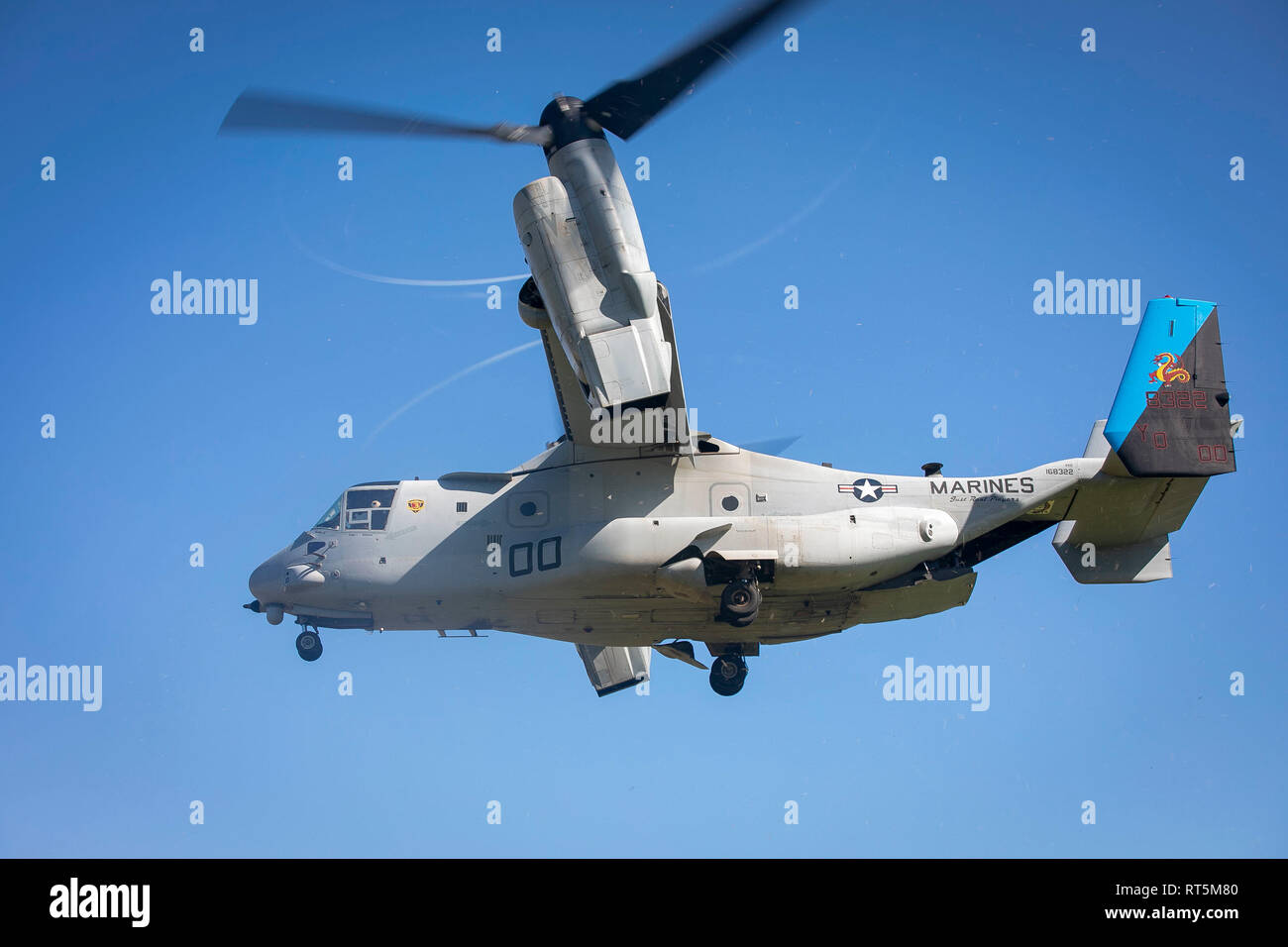 Une MV-22B hélicoptère à rotors basculants Osprey affectés à l'escadron 268 à rotors basculants moyen marin survole pendant un aéronef tombé scénario à la zone d'atterrissage 216 Base du Corps des Marines, Hawaii, le 27 février, 2019. Les Marines américains avec des armes Company, 2e Bataillon, 3e Régiment de Marines et VMM-268 avec le A-10 Thunderbolt attaque aéronefs affectés au 442e Escadre de chasse de Whiteman Air Force Base, Ohio conduite formation composé d'un recouvrement tactique simulé d'aéronefs et un scénario du personnel de recherche et sauvetage de combat scénario. (U.S. Marine Corps photo par le Sgt. Zachary Orr) Banque D'Images