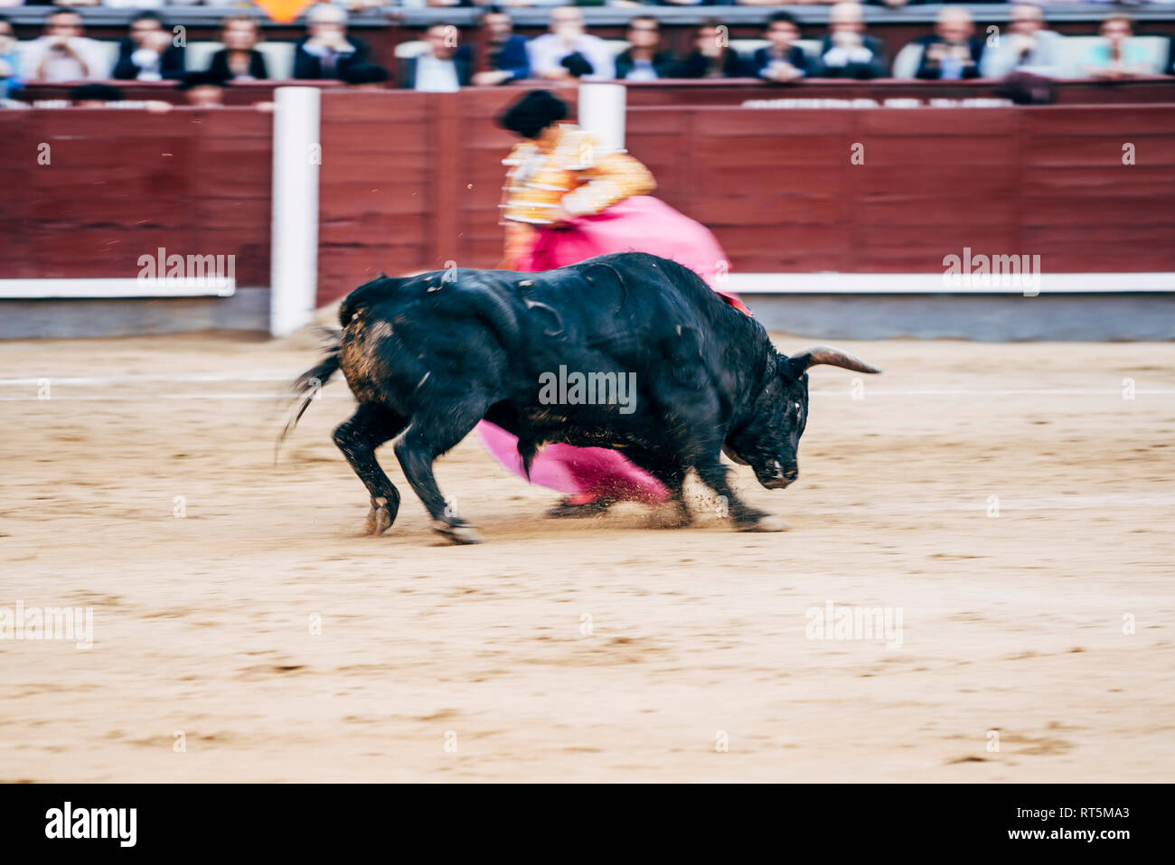 Tauromachie - Plaza De Toros De Sevilla #3 Canvas Art Poster 12x 241 - France