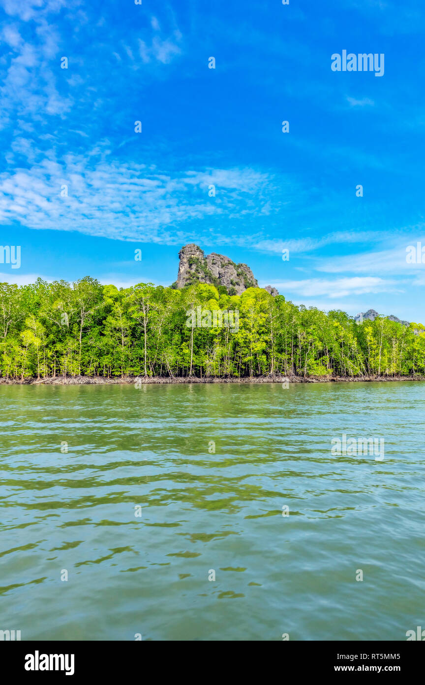 Pulau Langkawi, Malaisie, les mangroves Banque D'Images