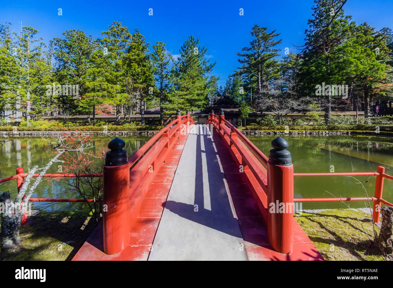 Le Japon, le Koya-san, pont au-dessus de l'eau dans park Banque D'Images