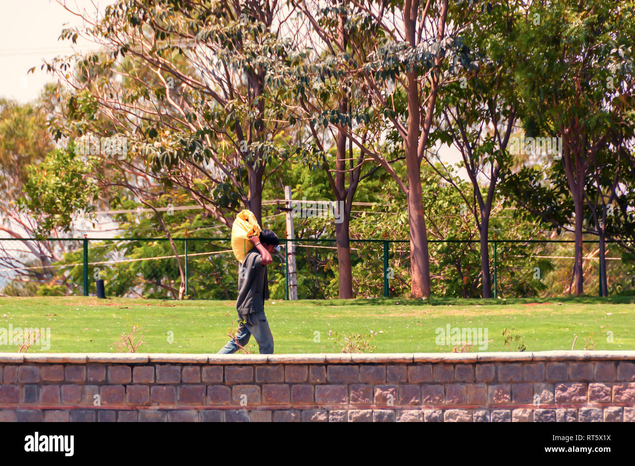 Un travailleur exerçant son activité sous un lourd sac sur son épaule et marchant sur une pelouse verte à Hyderabad, Inde, Telangana. Banque D'Images