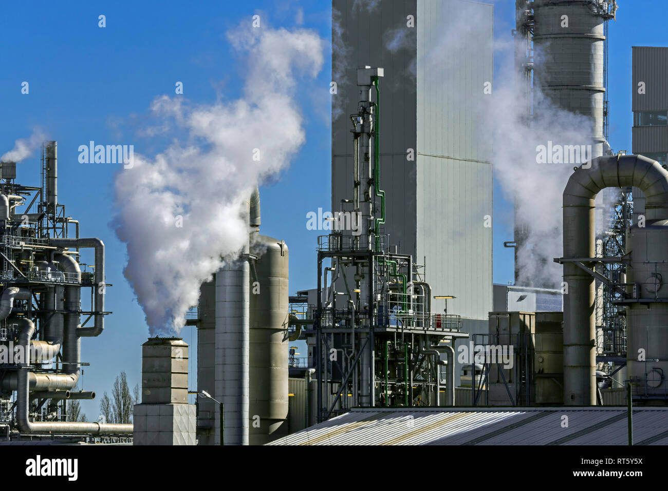 La fumée des cheminées à Industrial Estate montrant la production chimique BASF site dans le port d'Anvers, Belgique Banque D'Images
