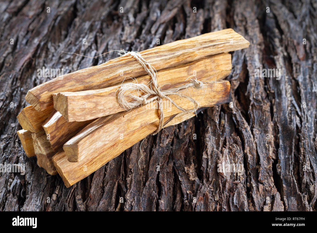 Bursera graveolens, essence et résine. en espagnol ("palo santo") est un arbre sauvage d'Amérique latine. utilisé comme encens. Banque D'Images