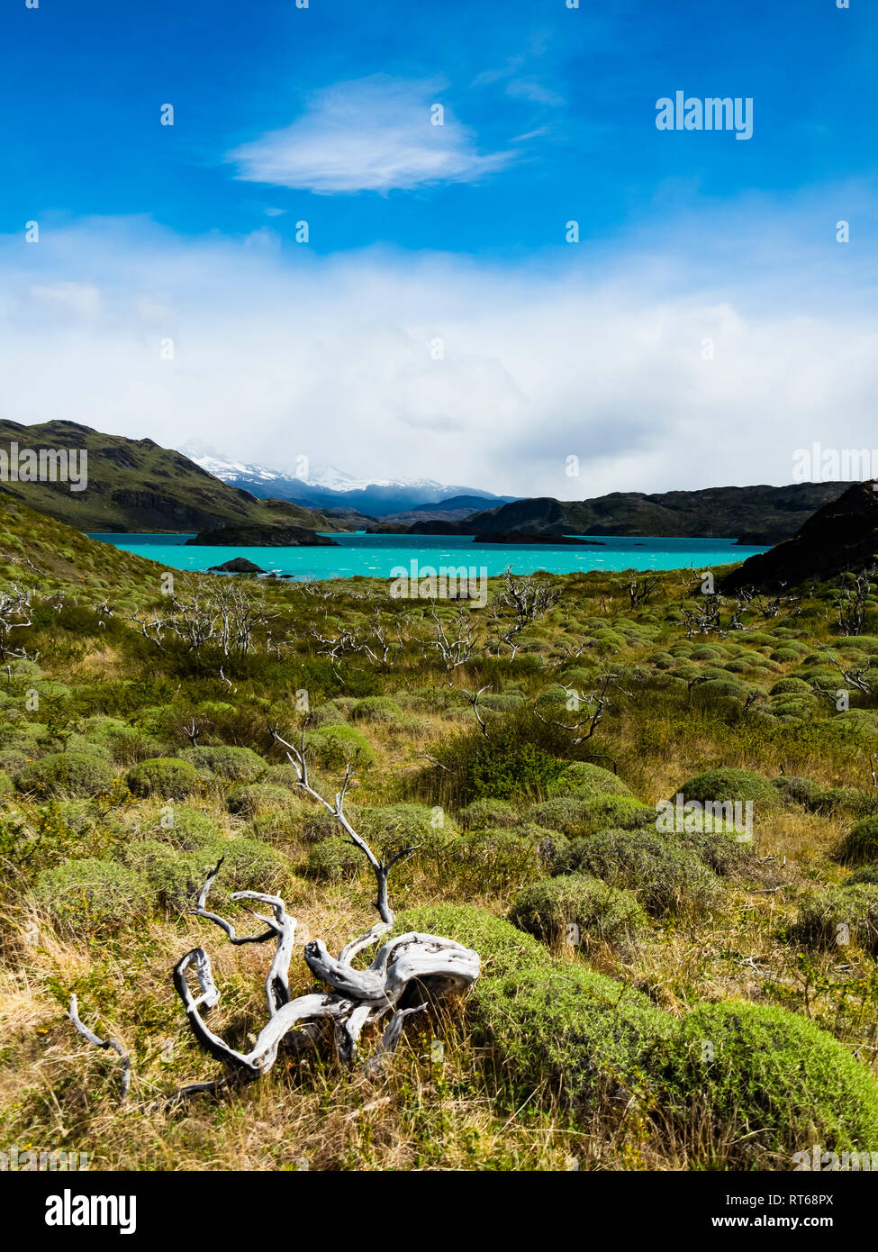 Le Chili, la Patagonie, le Parc National Torres del Paine, Lago Nordenskjold Banque D'Images