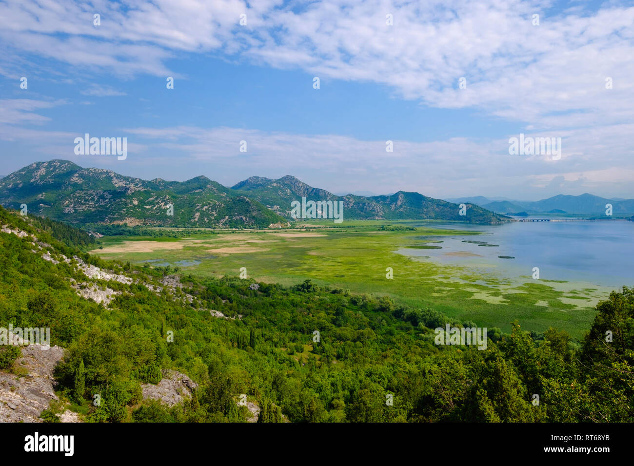 Le Monténégro, le lac de Skadar près de Virpazar Banque D'Images
