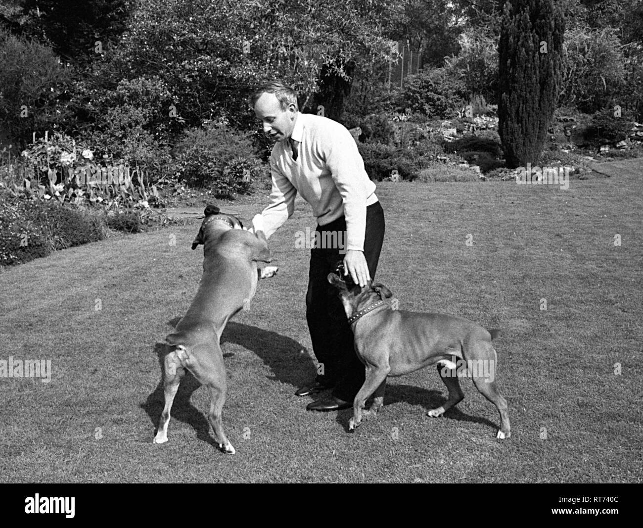 John Surtees avec ses chiens de compagnie 1966 Banque D'Images