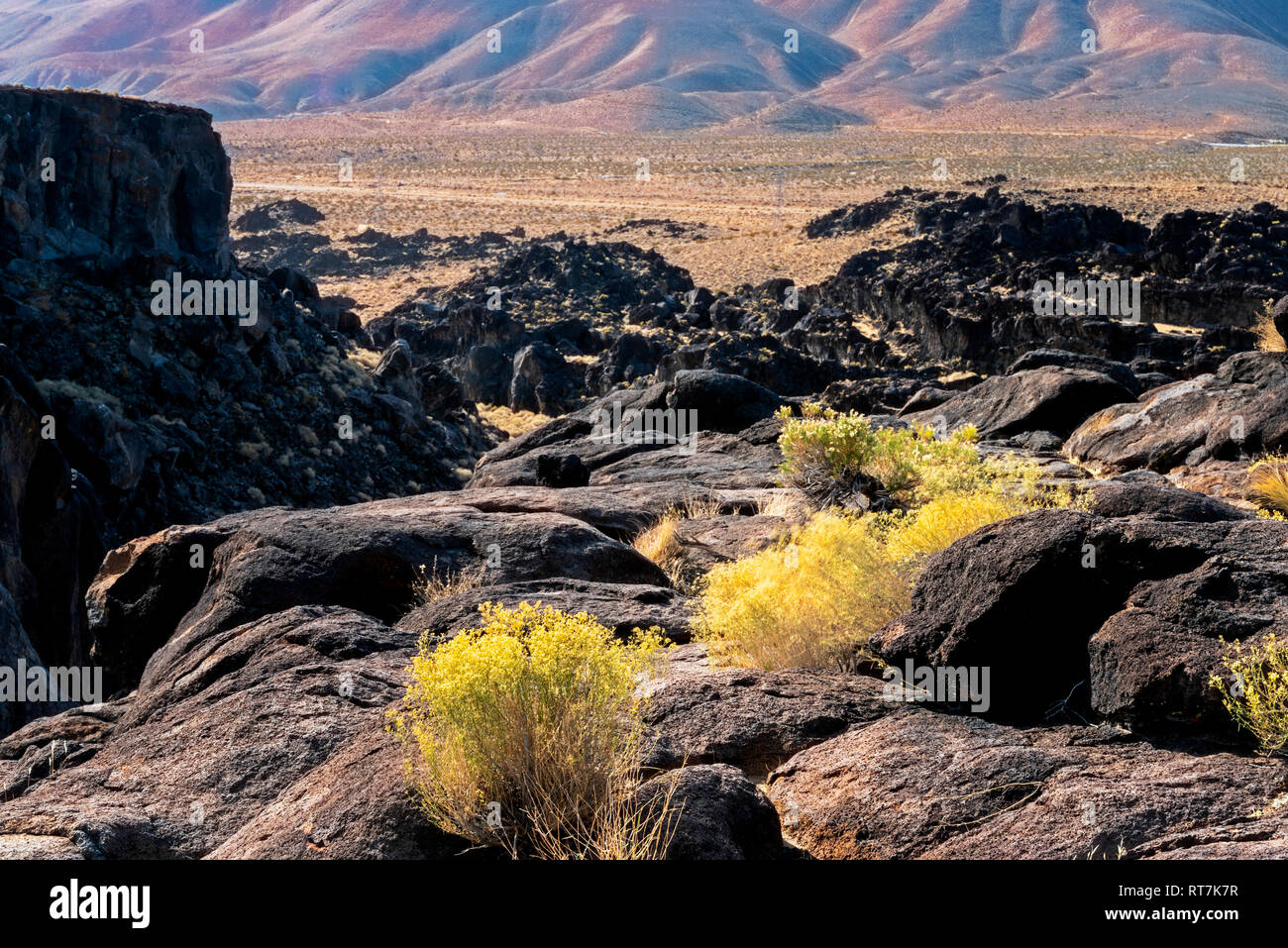 Champs rocailleux arides surplombant la vallée d'or rougeâtre avec des montagnes au-delà. Buissons jaune à la suite des roches. Banque D'Images