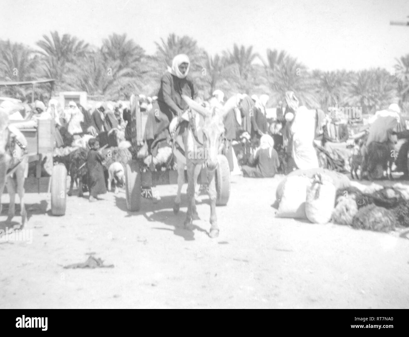 Scènes d'un voyage de jour à Al-Hofuf Hofuf (), Al-Ahsa, l'Arabie saoudite le long d'une journée d'hiver de 1968. Banque D'Images