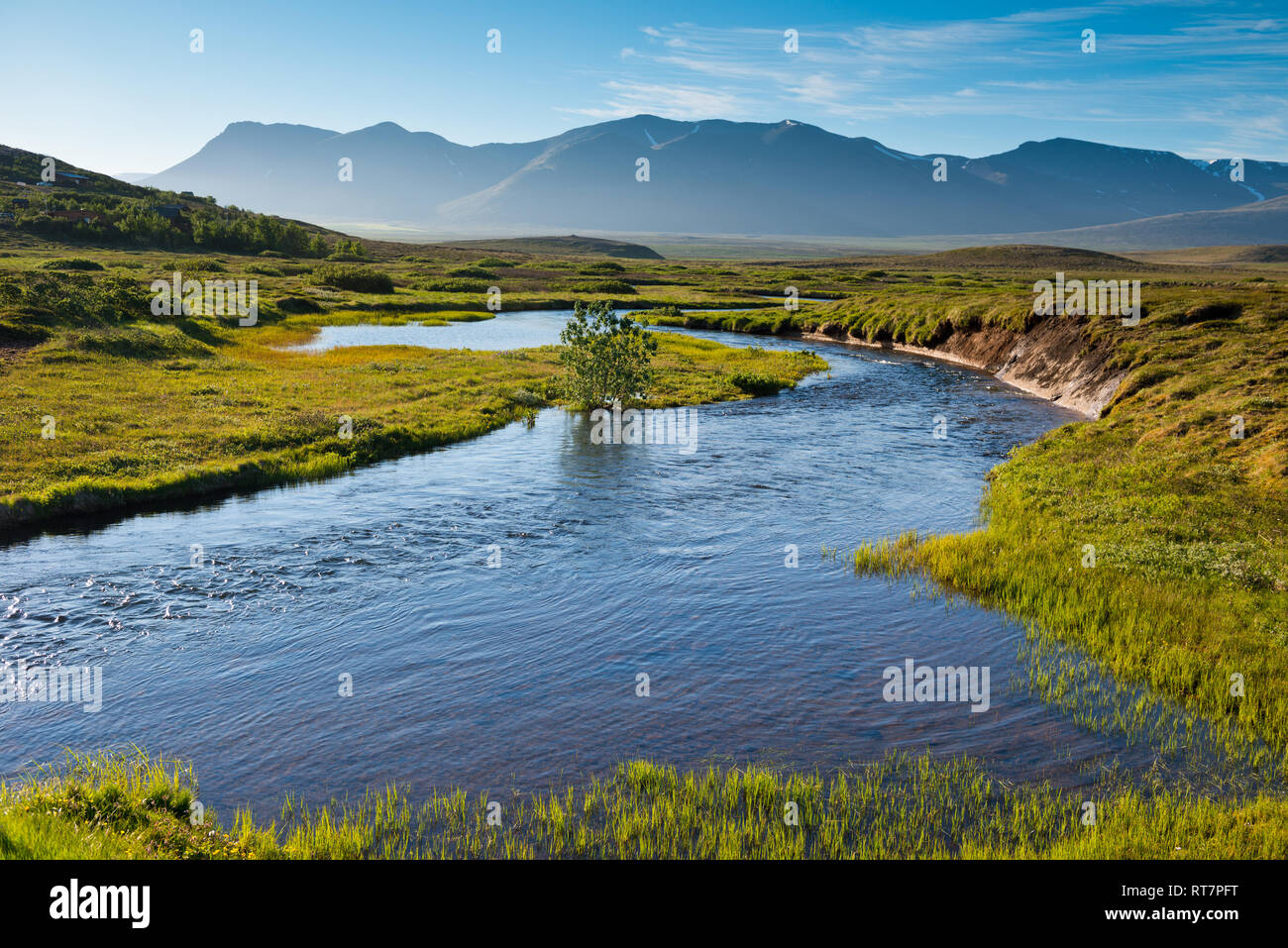 Paysage de l'été islandais Banque D'Images