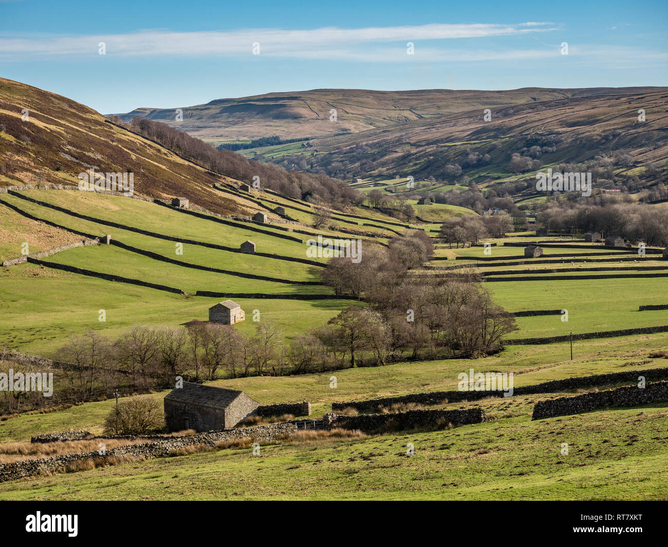 Swaledale dans le Yorkshire Dales National Park ses parties supérieures sont particulièrement remarquables en raison de son grand ancien domaine des granges en pierre calcaire , murs Banque D'Images