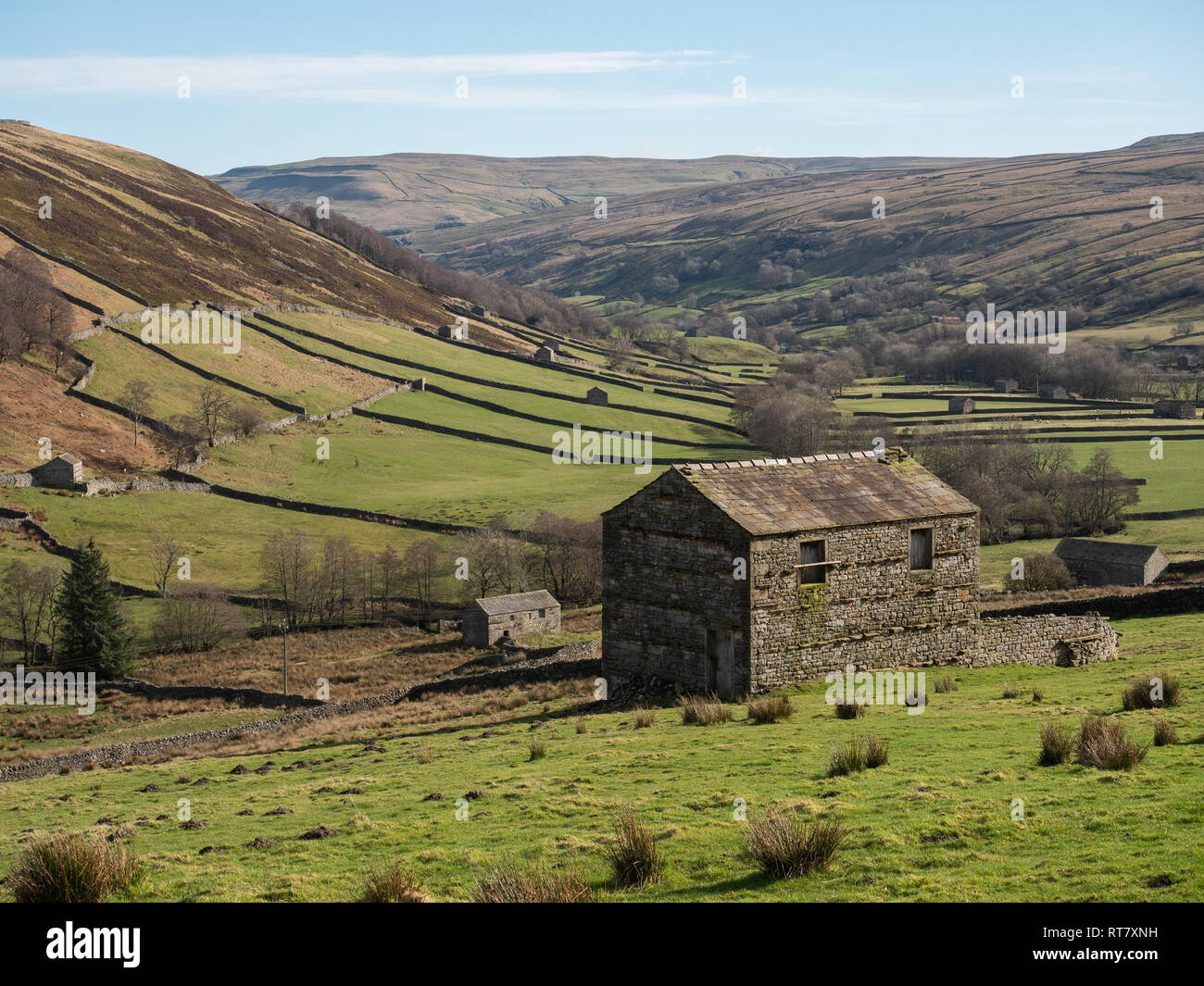 Swaledale dans le Yorkshire Dales National Park ses parties supérieures sont particulièrement remarquables en raison de son grand ancien domaine des granges en pierre calcaire , murs Banque D'Images