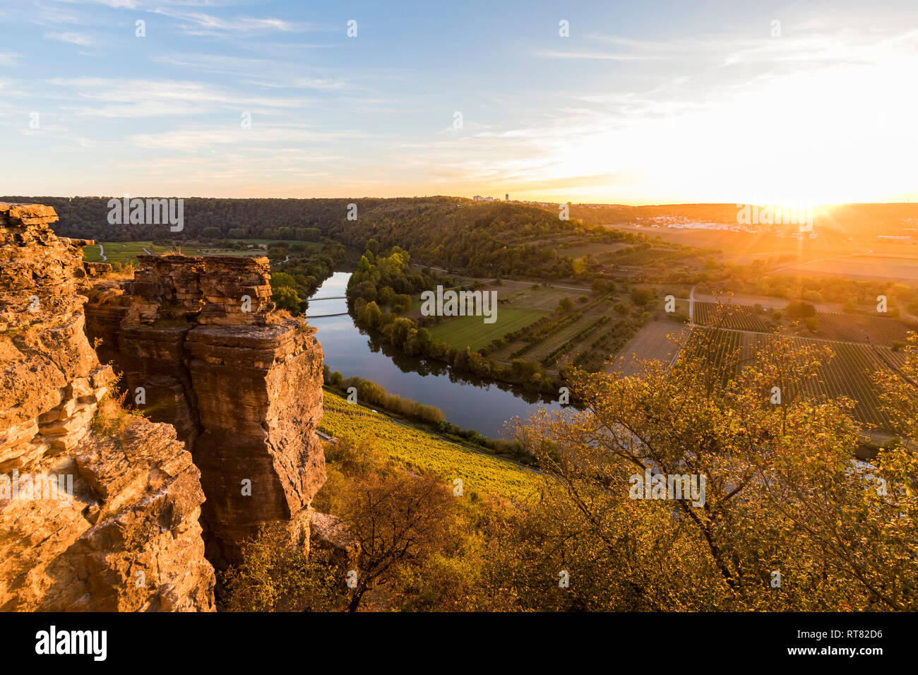 Allemagne, Bade-Wurtemberg, Hessigheim, vallée du Neckar, Neckar, Hessigheimer Neckarbecken Felsengaerten, Réserve Naturelle Banque D'Images