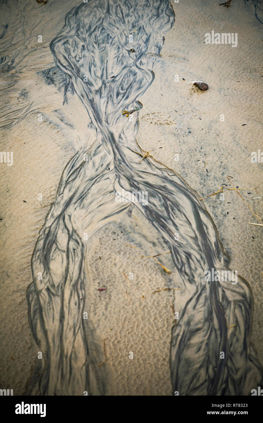 Structures sur plage de sable Banque D'Images