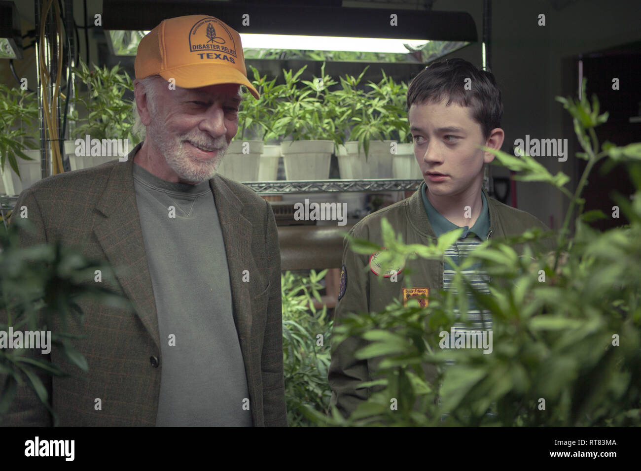 DATE DE SORTIE : Septembre 13, 2018 Title : Limites STUDIO : Sony Pictures Classics Directeur : Shana Feste PLOT : Laura et son fils Henry sont forcés à conduire son ex-, pot-traitant, insouciant père Jack à travers le pays après avoir été expulsé d'une maison de soins infirmiers. Avec : Vera Farmiga, Christopher Plummer, Lewis MacDougall. (Crédit Image : © Sony Pictures Classics/photos) Banque D'Images