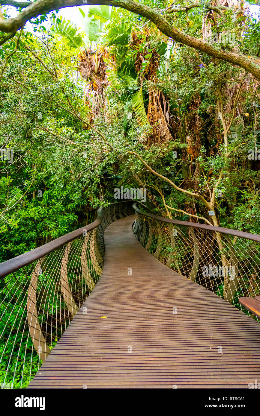 Les Jardins de Kirstenbosch, Cape Town, Afrique du Sud Banque D'Images