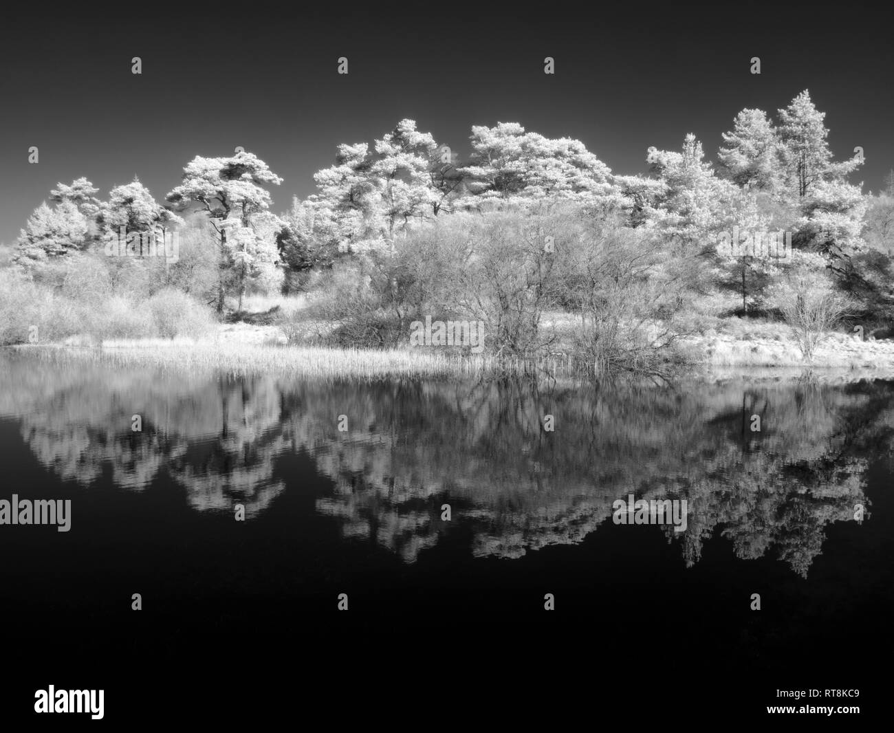 Une image infrarouge de Waldergrave à Priddy Mineries piscine dans les collines de Mendip, Somerset, Angleterre. Banque D'Images