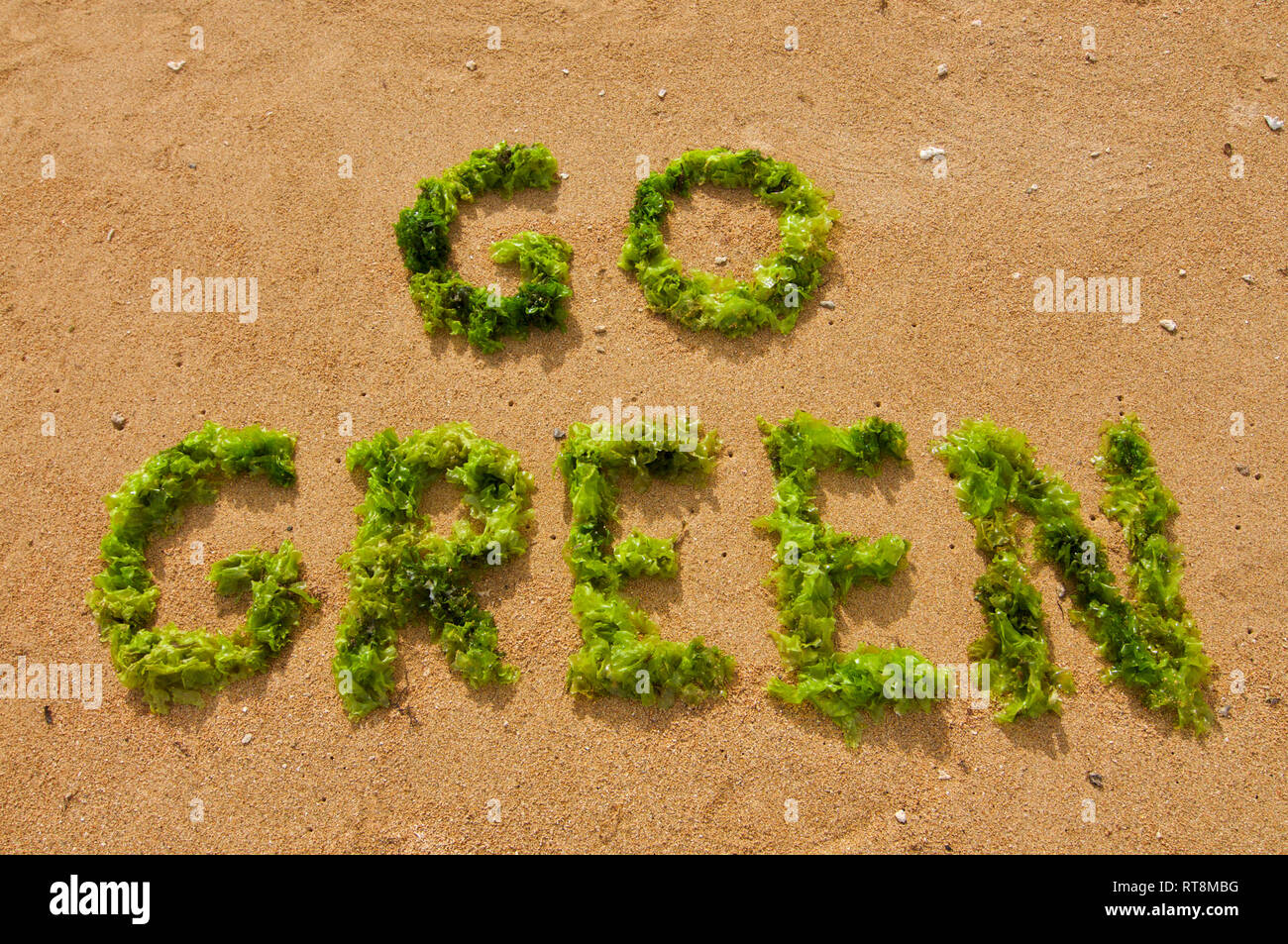 'Go Green' texte composé avec des algues vertes sur la plage de Sanur à Bali, Indonésie sur une journée ensoleillée Banque D'Images