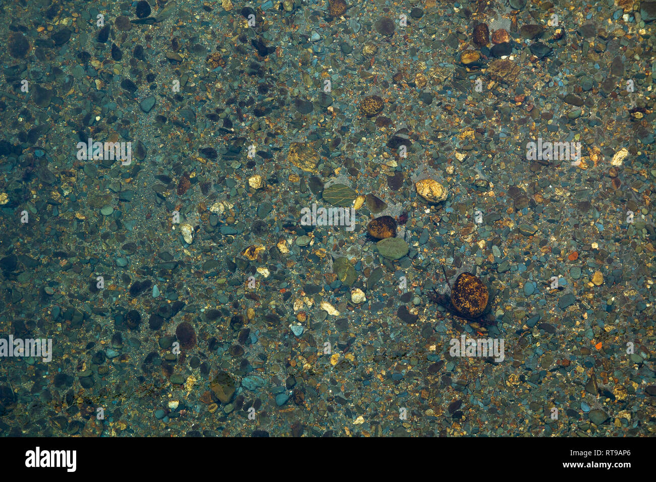 Type de lit d'une rivière sous l'eau claire Banque D'Images