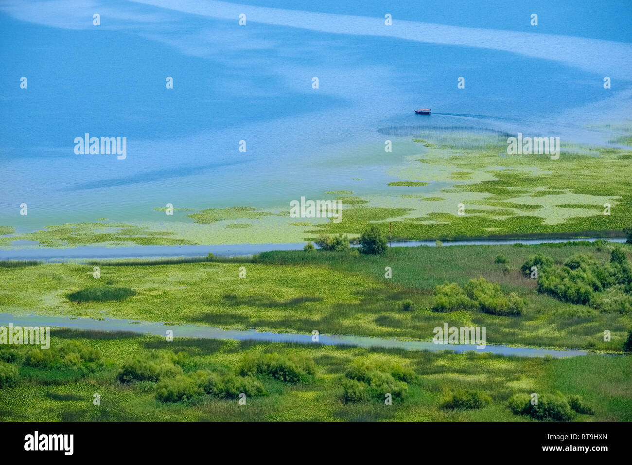 Le Monténégro, le lac de Skadar près de Virpazar Banque D'Images