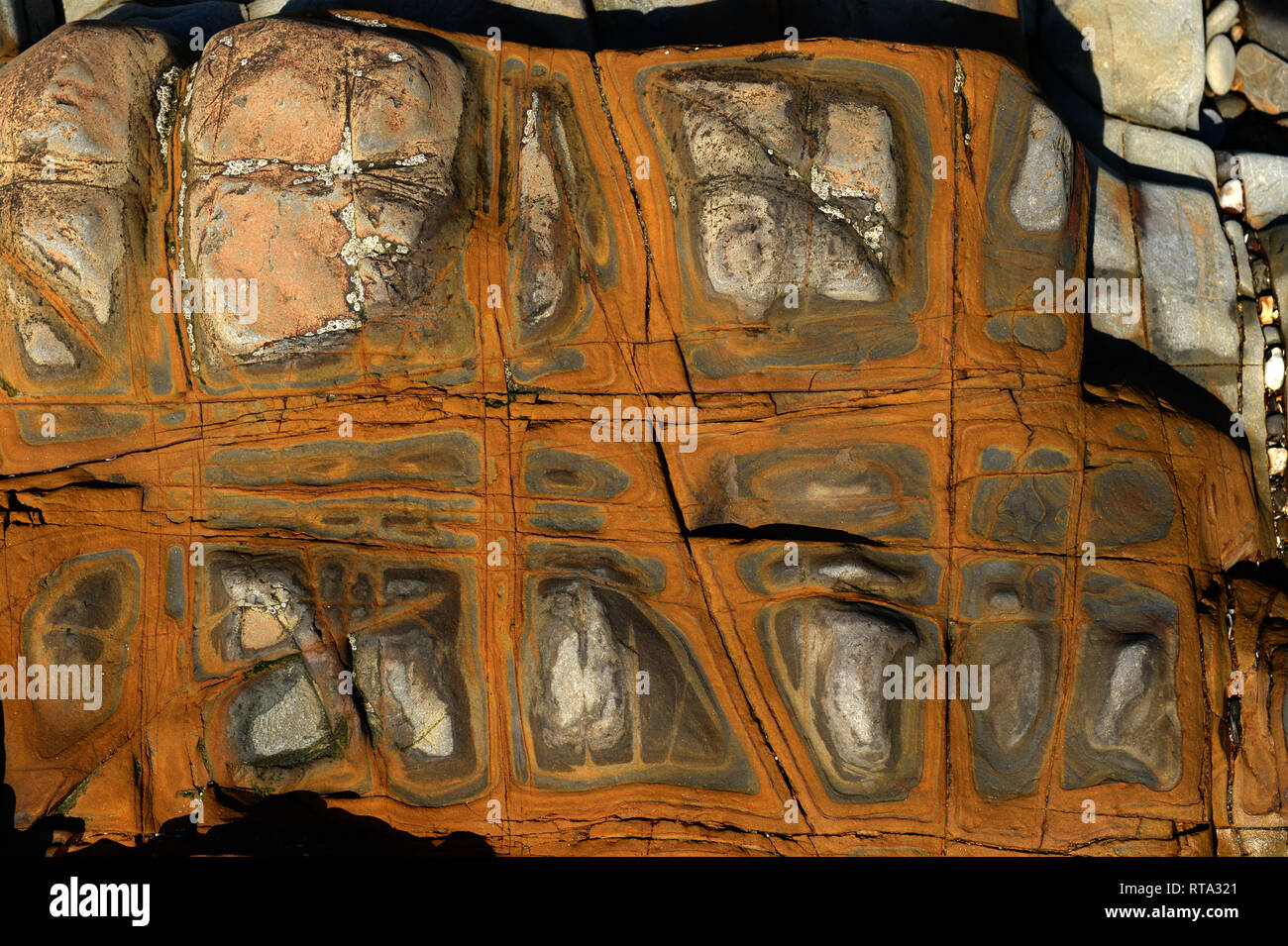 Les non-calcaire marin à l'ouest du pays de Galles Amroth rock formé d'ankérite brun. Infusions dans le plan de litage ont produit une tapisserie de couleur. Banque D'Images