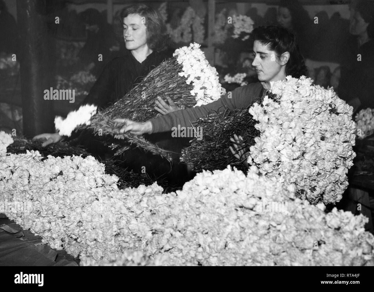 L'Italie, ligurie, Sanremo, marché de fleurs, 1949 Banque D'Images