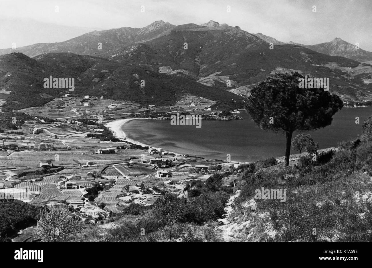 Procchio, Ile d'Elbe, Toscane, Italie 1957 Banque D'Images