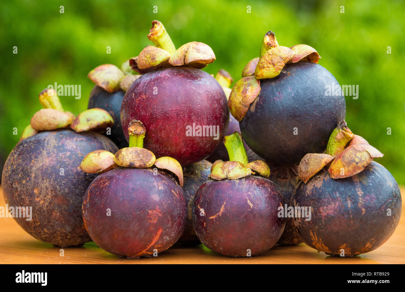 Belle photo de plusieurs mangoustan (Garcinia mangostana) fruits, empilées les unes sur les autres sur une table en bois. Les fruits avec leur couleur rouge-violet... Banque D'Images