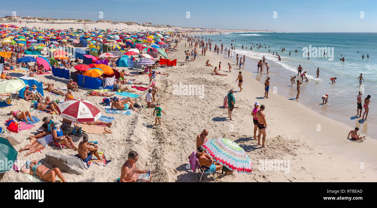 Praia da Barra, parasols et de brise-vent Banque D'Images