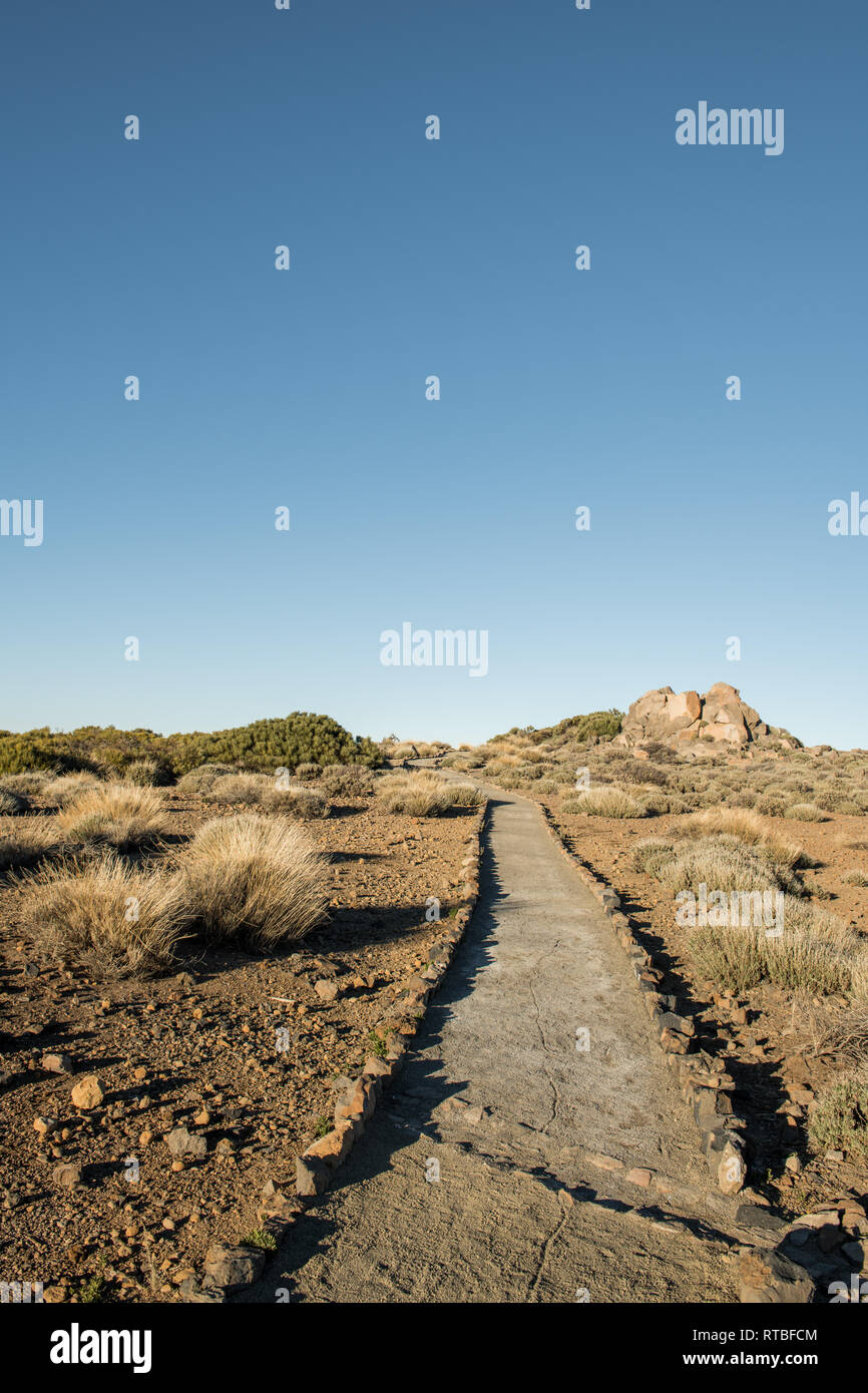 Vue de petit chemin dans le désert avec des plantes sèches en journée ensoleillée Banque D'Images