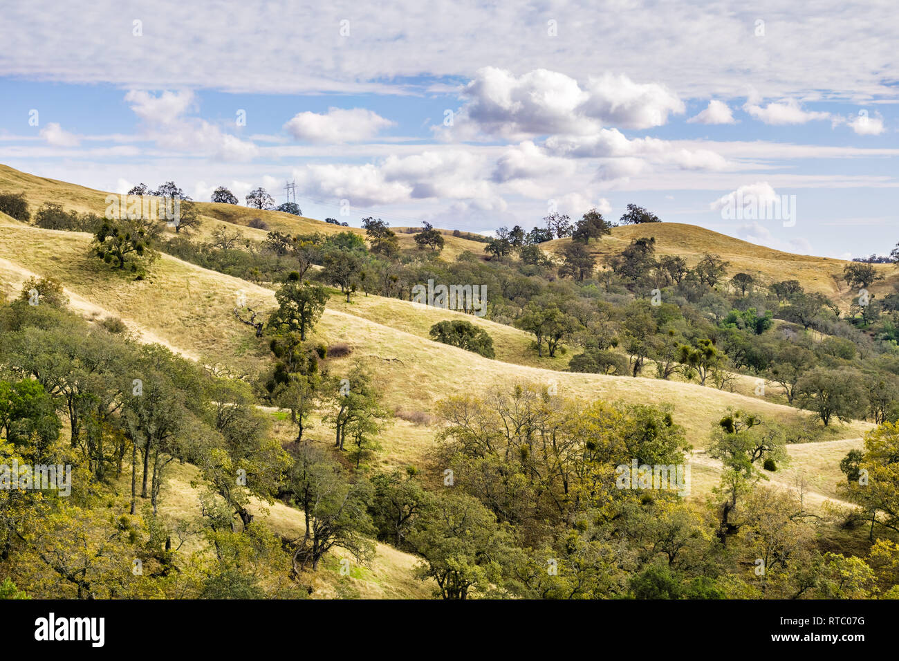 Paysage de Joseph Grant County Park, San Jose, Californie Banque D'Images