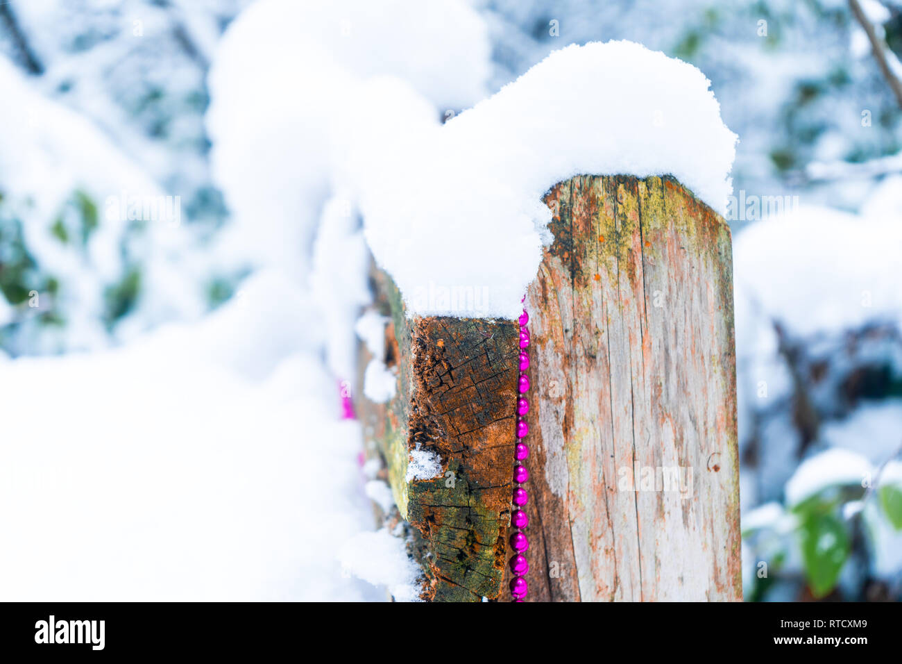 Cordon rose garland drapé sur un banc en bois dans une forêt enneigée, représentant un décor de Noël, temps d'hiver, fêtes, et Winter Wonderland. Banque D'Images