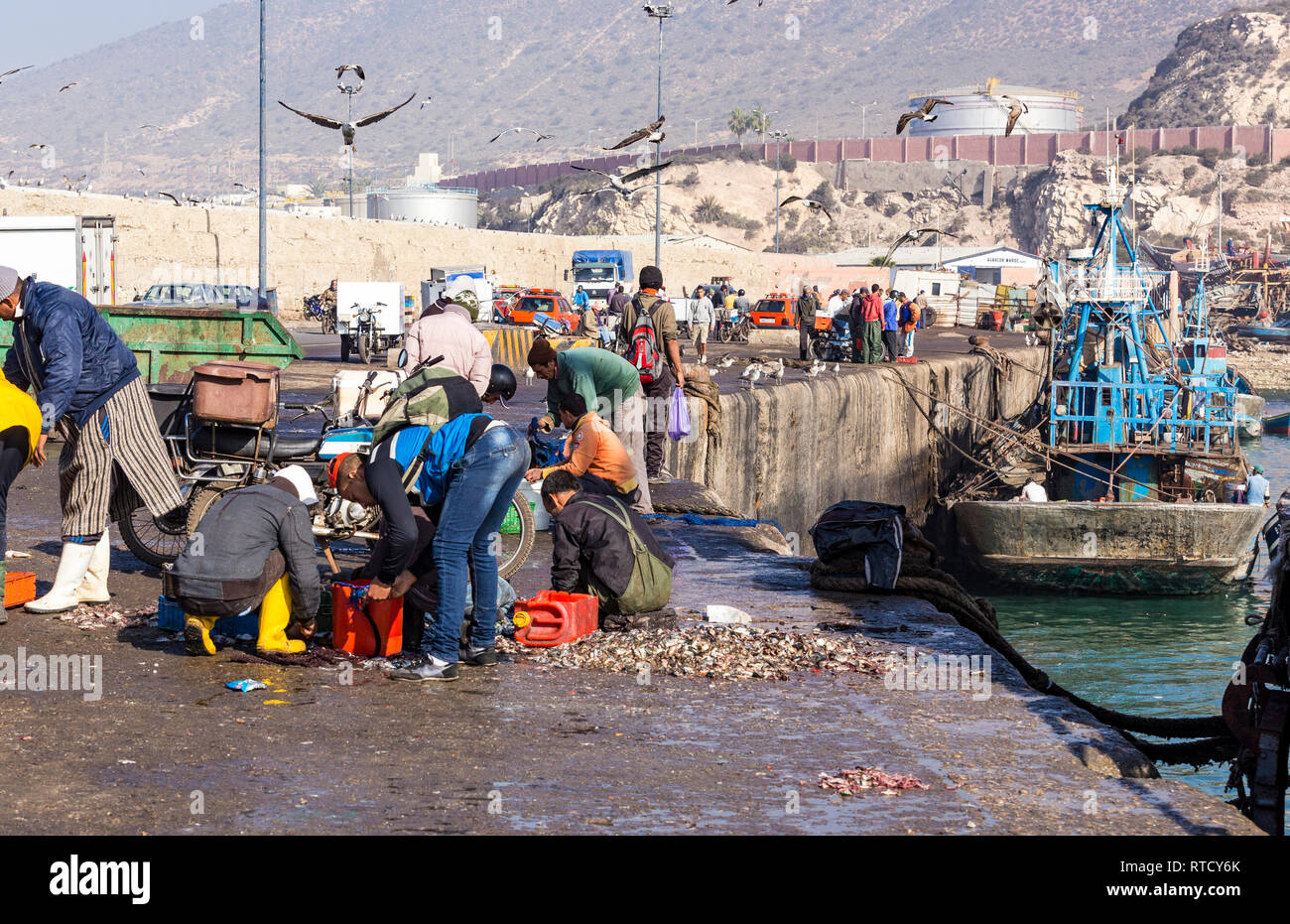 Port de marché aux poissons en plein air d'Agadir.Le poisson est éviscéré et offerts en vente sur le quai en face. Le courage de poissons sont rejetés sur le quai pour être récupéré Banque D'Images