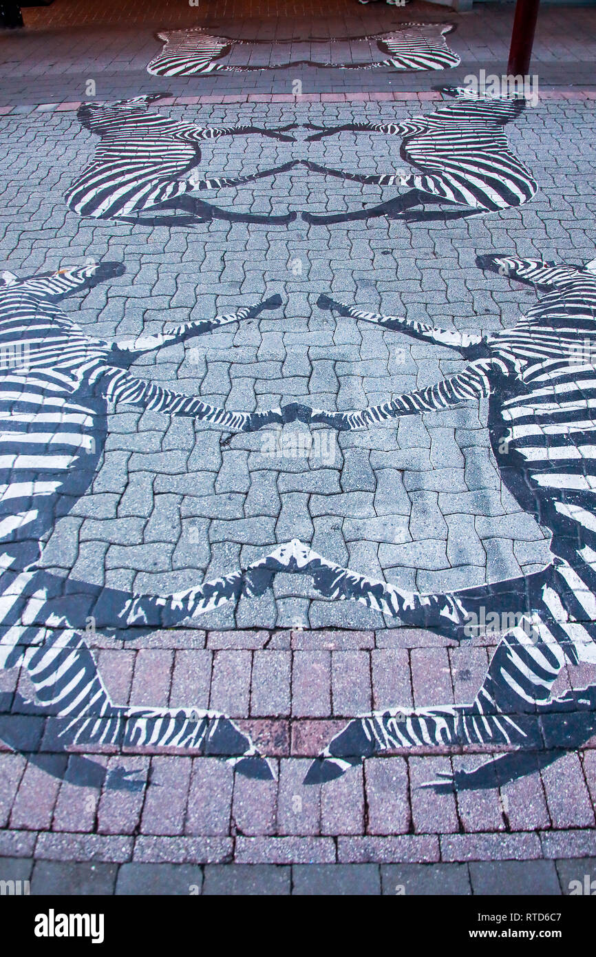 Zebra street art peint sur le plancher de la galerie marchande de Queenstown, Queenstown, Nouvelle-Zélande Île du Sud Banque D'Images