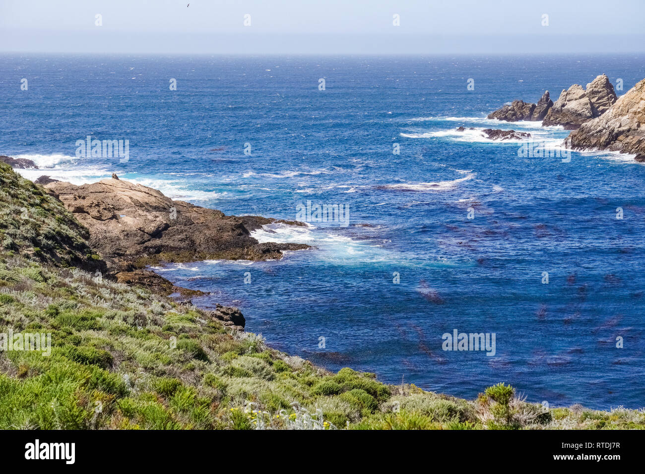 Côte Rocheuse, Californie Banque D'Images