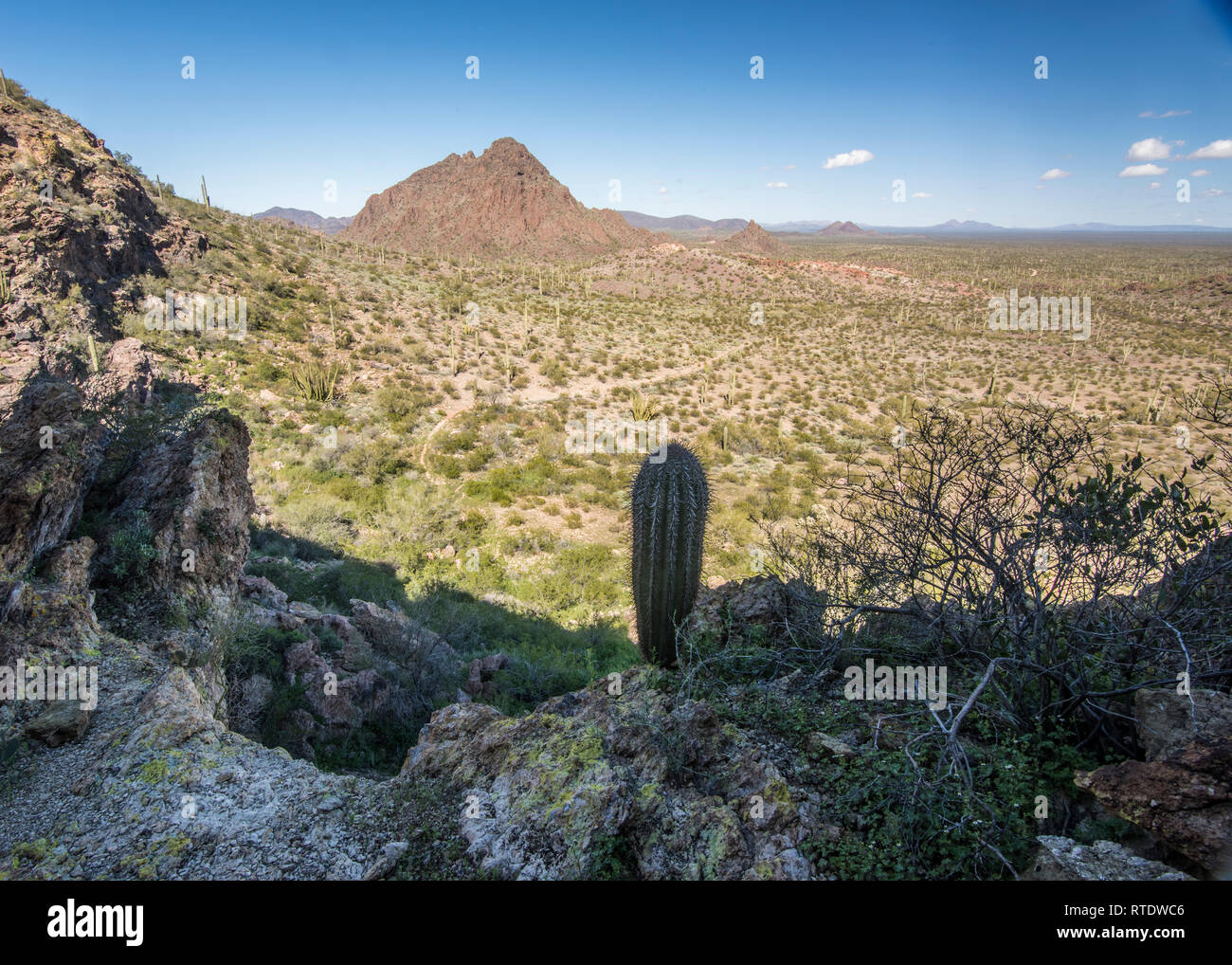 Paysage pittoresque en direction nord depuis les ressorts dégoulinant le long de la route Puerto Blanco, orgue Pipe Cactus National Monument, le centre-sud de l'Arizona, USA Banque D'Images