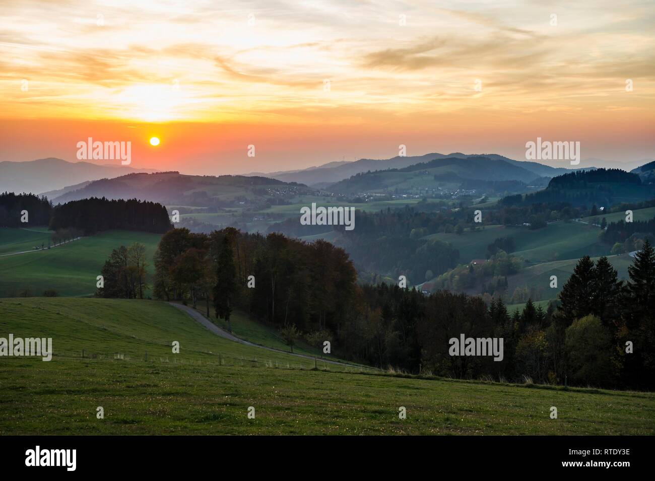 Vue sur paysage vallonné à l'automne, le coucher du soleil, près de St Märgen, Forêt Noire, Bade-Wurtemberg, Allemagne Banque D'Images