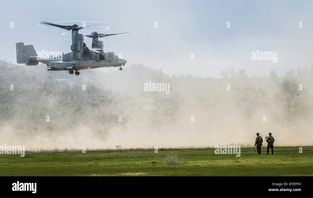 190220-M-EC058-0032 FORT HUNTER LIGGETT, Californie. (Fév. 20, 2019) Une MV-22 Osprey maritime avec l'escadron 163 à rotors basculants moyen (renforcée), 11e Marine Expeditionary Unit (MEU), des terres au cours d'un point de ravitaillement en carburant et d'armement avant mission à Fort Hunter Liggett, Californie Marines et de marins avec la 11e MEU mènent des opérations de routine dans le cadre du groupe amphibie Boxer. (U.S. Marine Corps photo par Lance Cpl. Dalton S. Swanbeck) Banque D'Images