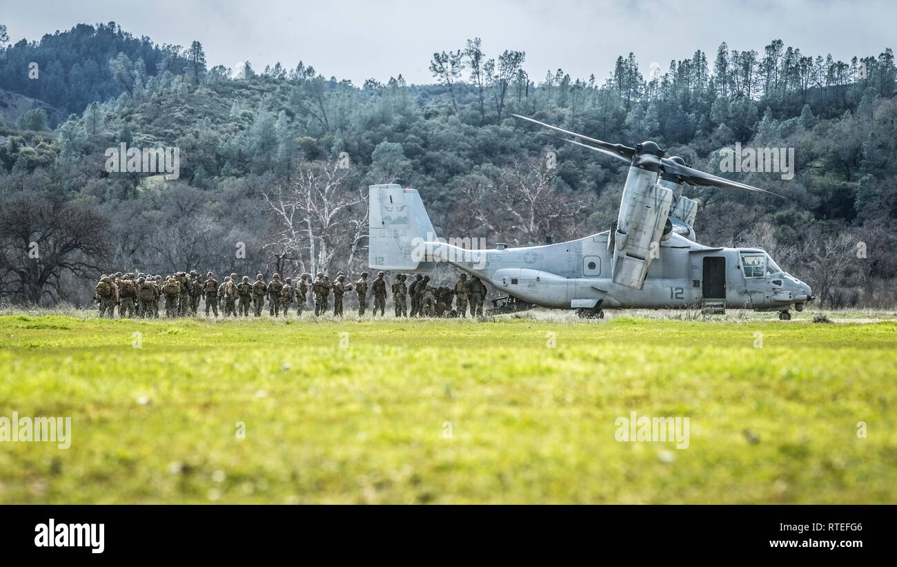 190220-M-EC058-0052 FORT HUNTER LIGGETT, Californie. (Fév. 20, 2019) Les Marines américains avec la compagnie Kilo, bataillon de l'équipe d'atterrissage 3e Bataillon, 5e Régiment de Marines, 11e Marine Expeditionary Unit (MEU), de charger l'équipement sur une MV-22 Osprey de l'avant lors d'un armement et d'essence mission à Fort Hunter Liggett, Californie Marines et de marins avec la 11e MEU mènent des opérations de routine dans le cadre du groupe amphibie Boxer. (U.S. Marine Corps photo par Lance Cpl. Dalton S. Swanbeck) Banque D'Images