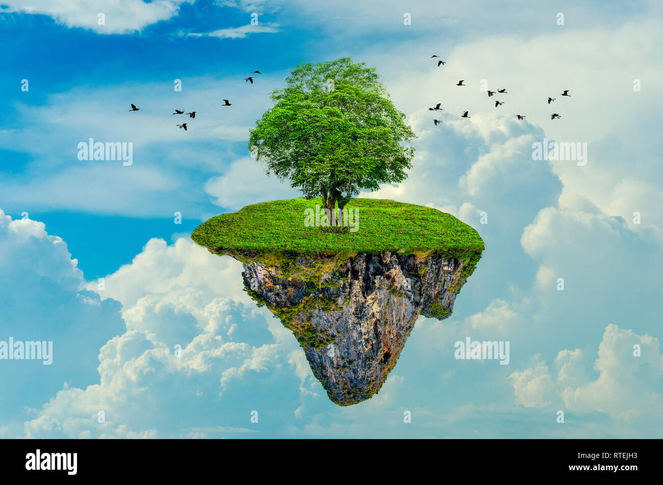 L'île flotte dans le ciel avec 1 arbre sur l'île. 3D Banque D'Images
