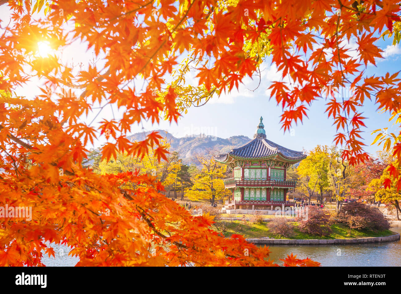 Vue d'automne à Gyeongbokgung palace avec feuilles d'érable, Séoul, Corée du Sud. Banque D'Images