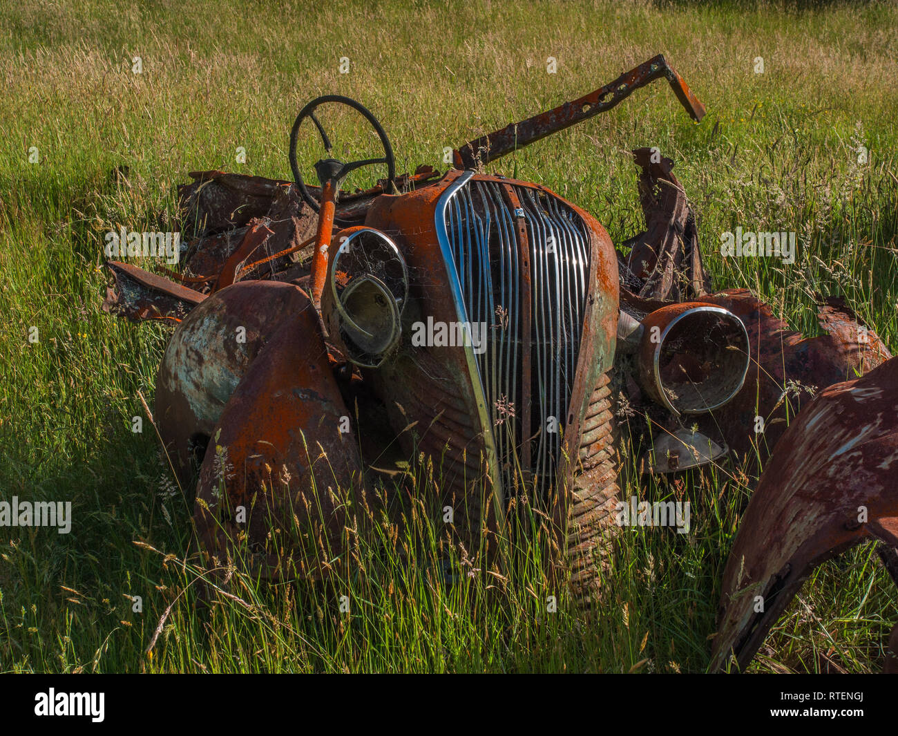 L'abandon détruit la rouille rouillé, voiture dans l'herbe haute, Endeans Mill, Waimiha Sawmilling, Ongarue, King Country, Nouvelle-Zélande Banque D'Images L'abandon détruit la rouille rouillé, voiture dans l'herbe haute, Endeans Mill, Waimiha Sawmilling, Ongarue, King Country, Nouvelle-Zélande Banque D'Images