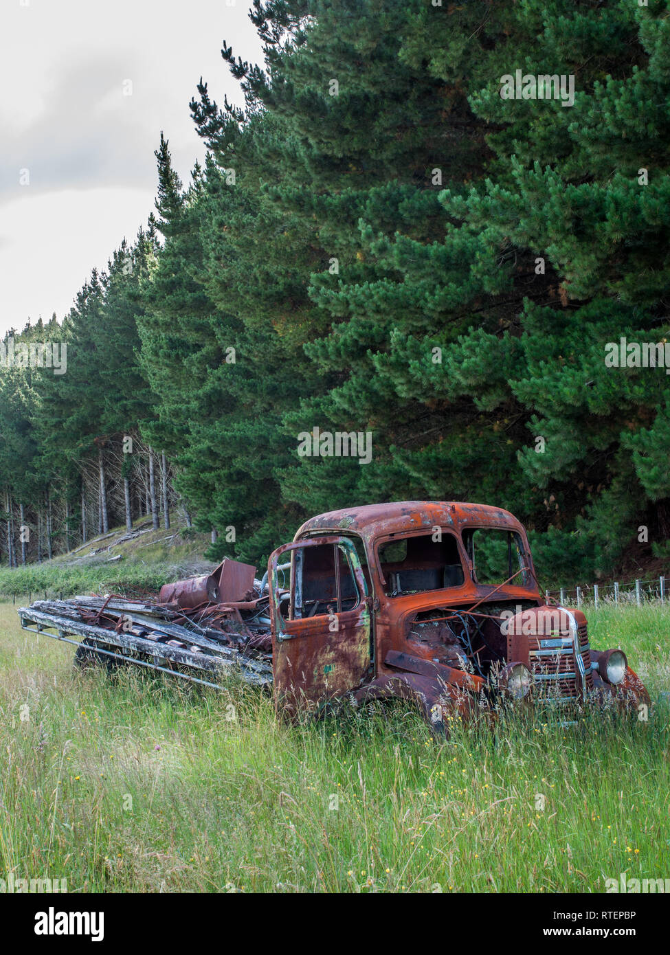 Abandonnés, rouillés abandonnés camion Bedford, dans l'herbe haute, Endeans Mill, Waimiha Sawmilling, Ongarue, King Country, Nouvelle-Zélande Banque D'Images Abandonnés, rouillés abandonnés camion Bedford, dans l'herbe haute, Endeans Mill, Waimiha Sawmilling, Ongarue, King Country, Nouvelle-Zélande Banque D'Images