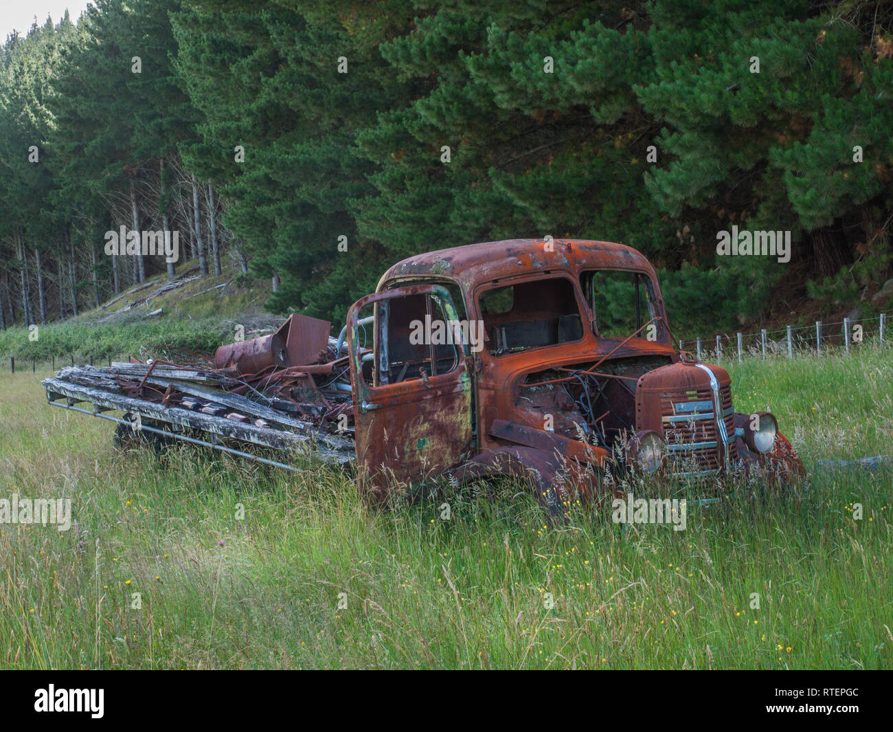 Abandonnés, rouillés abandonnés camion Bedford, dans l'herbe haute, Endeans Mill, Waimiha Sawmilling, Ongarue, King Country, Nouvelle-Zélande Banque D'Images Abandonnés, rouillés abandonnés camion Bedford, dans l'herbe haute, Endeans Mill, Waimiha Sawmilling, Ongarue, King Country, Nouvelle-Zélande Banque D'Images