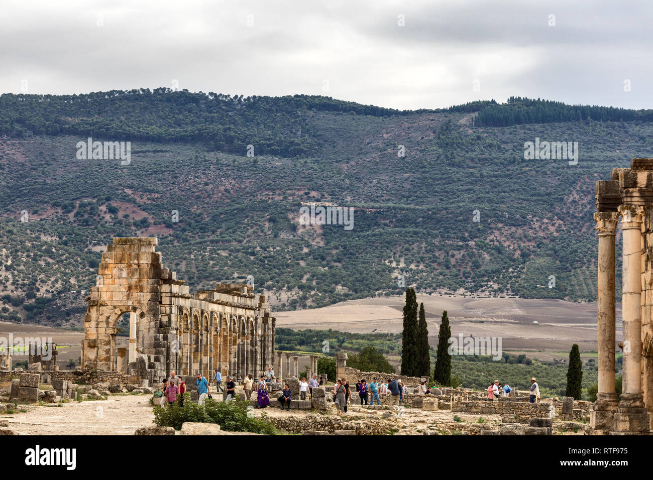 Vestiges romains, Volubilis, Maroc Banque D'Images